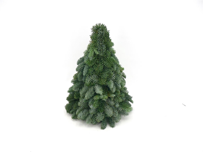 <h4>Kerstboom Nobilis 40cm</h4>