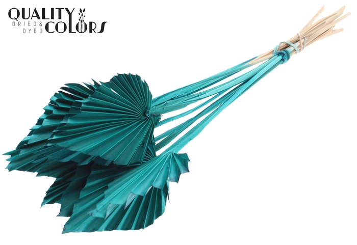 Palm Spear per stem Turquoise