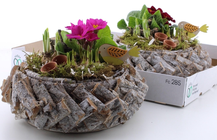 <h4>ARR PL IN SCHAAL</h4>