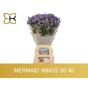 LIM S MERMAID WINGS