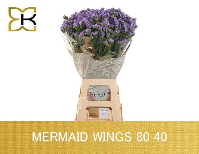 <h4>LIM S MERMAID WINGS</h4>