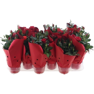 Rosa Rood + Zilver Glitter