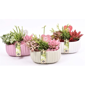 Keramiek ovaal mix kleur 18,5x12cm