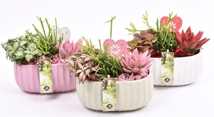 <h4>Keramiek ovaal mix kleur 18,5x12cm</h4>