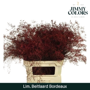 Lim Bel L90 Bordeaux