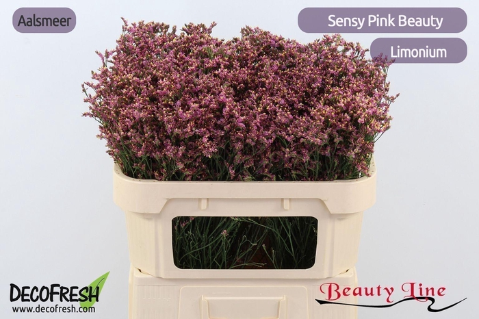 <h4>LIM SIN SEN PIN BEAU</h4>