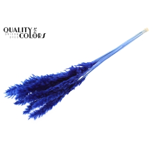 Fluffy Pampas 10pc/bunch Bleached Blue