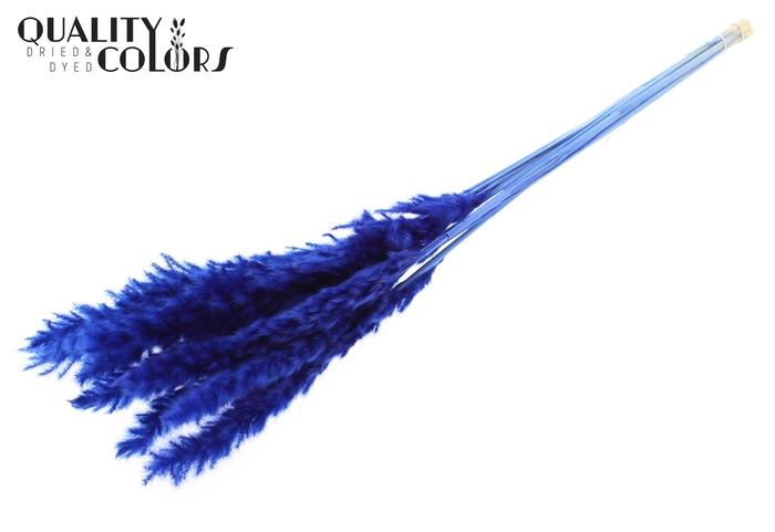 <h4>Fluffy Pampas 10pc/bunch Bleached Blue</h4>