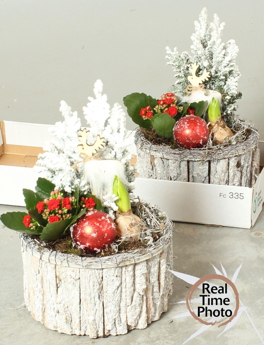 <h4>Arr Kamerpl</h4>