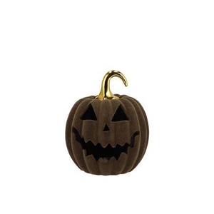 Autumn Flock Scottish Green Pumpkin Face Led 13x13