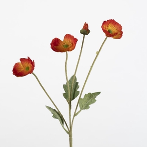 AF Papaver spr/4 fl L60cm or