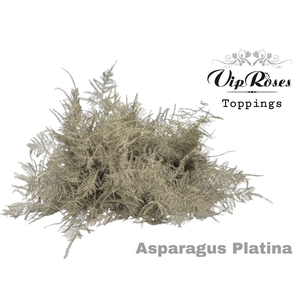 ASP OV GETOPT LANG PLATINA