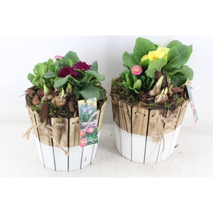 arr4 Outdoor MB - Hout ton brown/white 285/5