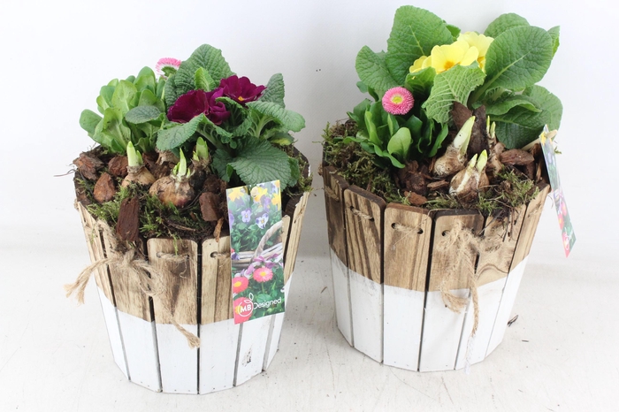 <h4>arr4 Outdoor MB - Hout ton brown/white 285/5</h4>