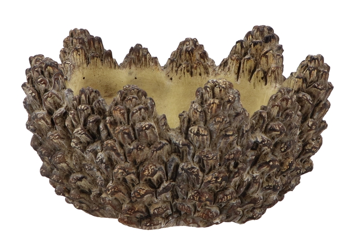 Concrete Natural Pinecone Bowl Round Edge 24x24x12cm Nm