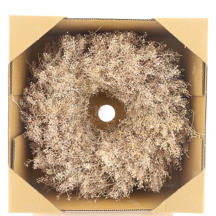 <h4>Wreath Lepidium Light Pink Medium</h4>