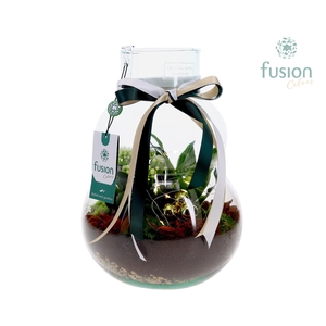 Green Bottle Olaf Medium met Kerst arrangement