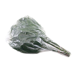 Treefern Vacuum X5