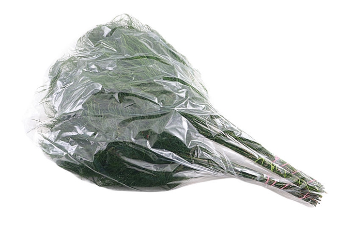 <h4>Treefern Vacuum X5</h4>