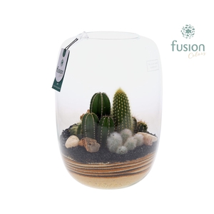 Green Bottle Isabella XLarge met zand arrangement