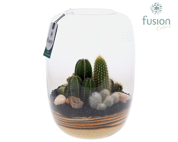 <h4>Green Bottle Isabella XLarge met zand arrangement</h4>