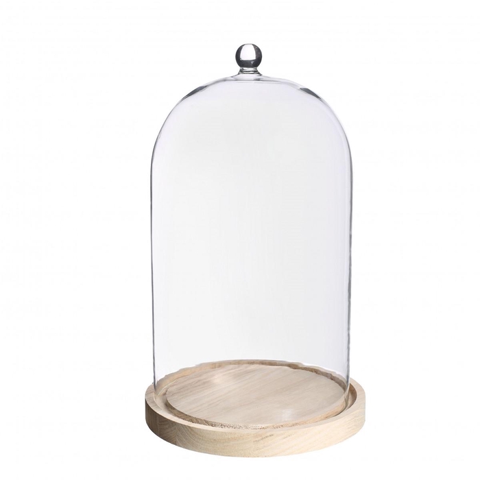 <h4>Glas Stolp Knop hout d15/17*28cm</h4>