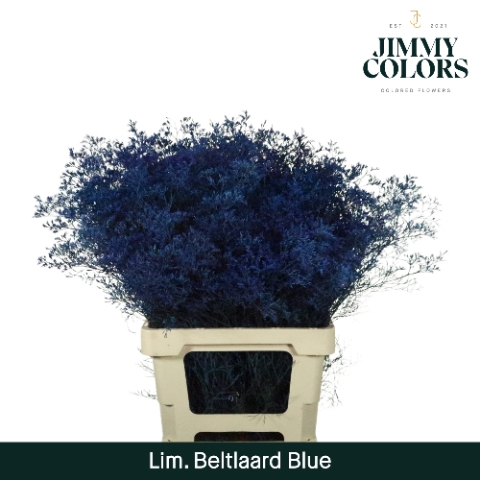 <h4>Lim Bel L70 Blue</h4>