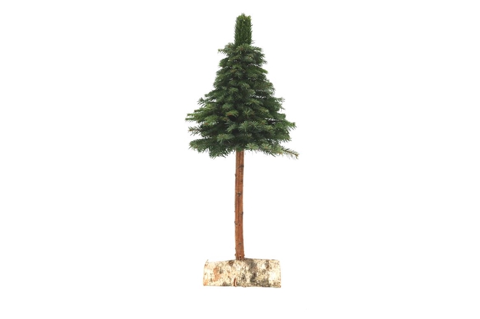 <h4>Kerstboom Nobilis Op Stok 100cm</h4>