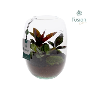 Green BottleIsabella Large met groene planten