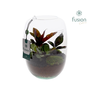 Green BottleIsabella Large met groene planten