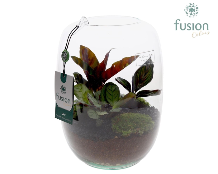 <h4>Green BottleIsabella Large met groene planten</h4>