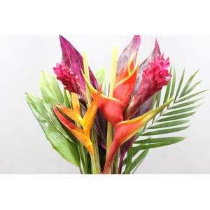 Heliconia Bqt Zaire Cr