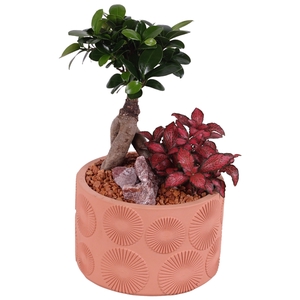 Year-Round Indoor Ceramic Exotic Vibes 464 ø17cm 2PP