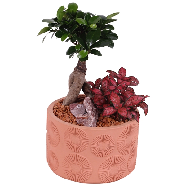 <h4>Year-Round Indoor Ceramic Exotic Vibes 464 ø17cm 2PP</h4>