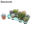 Succulenten Mix (9spc.) (decorum) Decorum+Steker