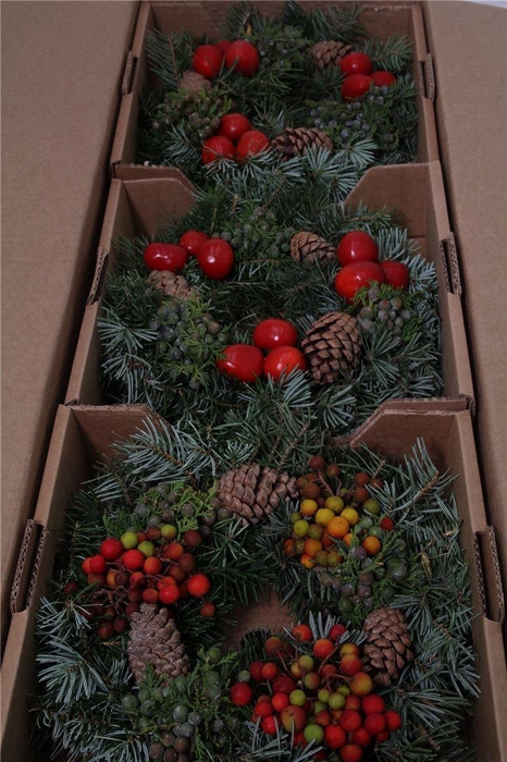 <h4>Sierfruit Krans H%</h4>