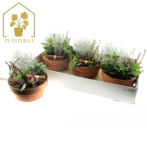 ARR TUINPLANTEN