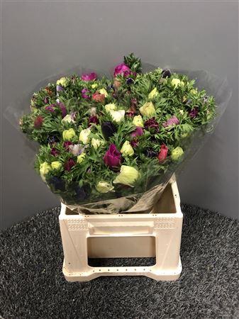 <h4>Anem Ex Mix Mix</h4>