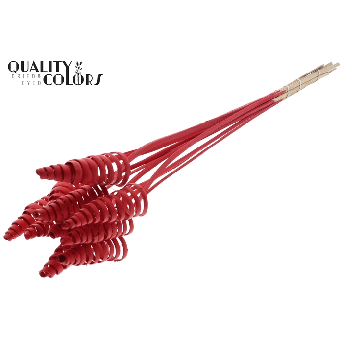 <h4>Cane Cone on stem Covered Red</h4>