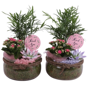 Mothersday Arr. Indoor Glass Bowl with Rope Ø20cm 3PP