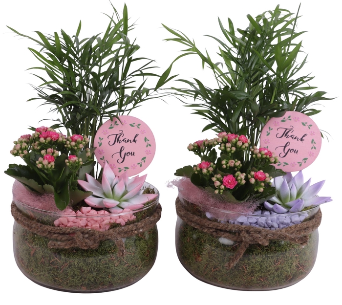 <h4>Mothersday Arr. Indoor Glass Bowl with Rope Ø20cm 3PP</h4>