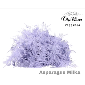 ASP OV 1E VEREN MILKA