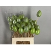 Stick Egg Pearl Green 7cm