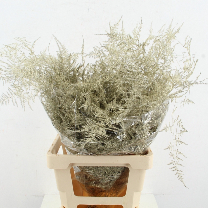 <h4>ASP OV KLB H%</h4>