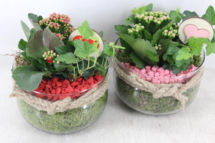 <h4>arr2 PL - Glas bose touw x6 - rood/roze</h4>