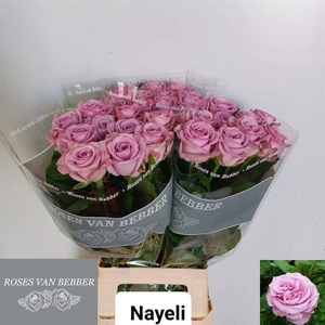 R GR NAYELI!