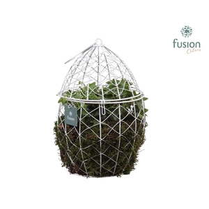 Metaal Ei groot met Hedera