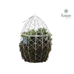 Metaal Ei groot met Hedera