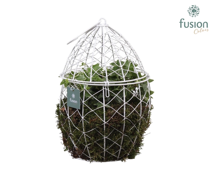 <h4>Metaal Ei groot met Hedera</h4>