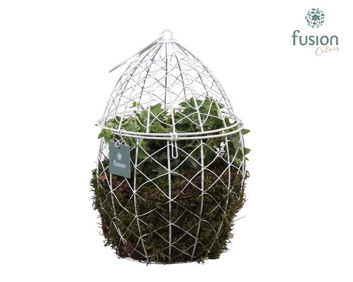 <h4>Metaal Ei groot met Hedera</h4>